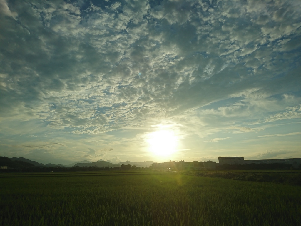 夕日と雲は夏から秋にかけてがきれいだね