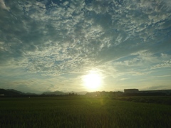 夕日と雲は夏から秋にかけてがきれいだね