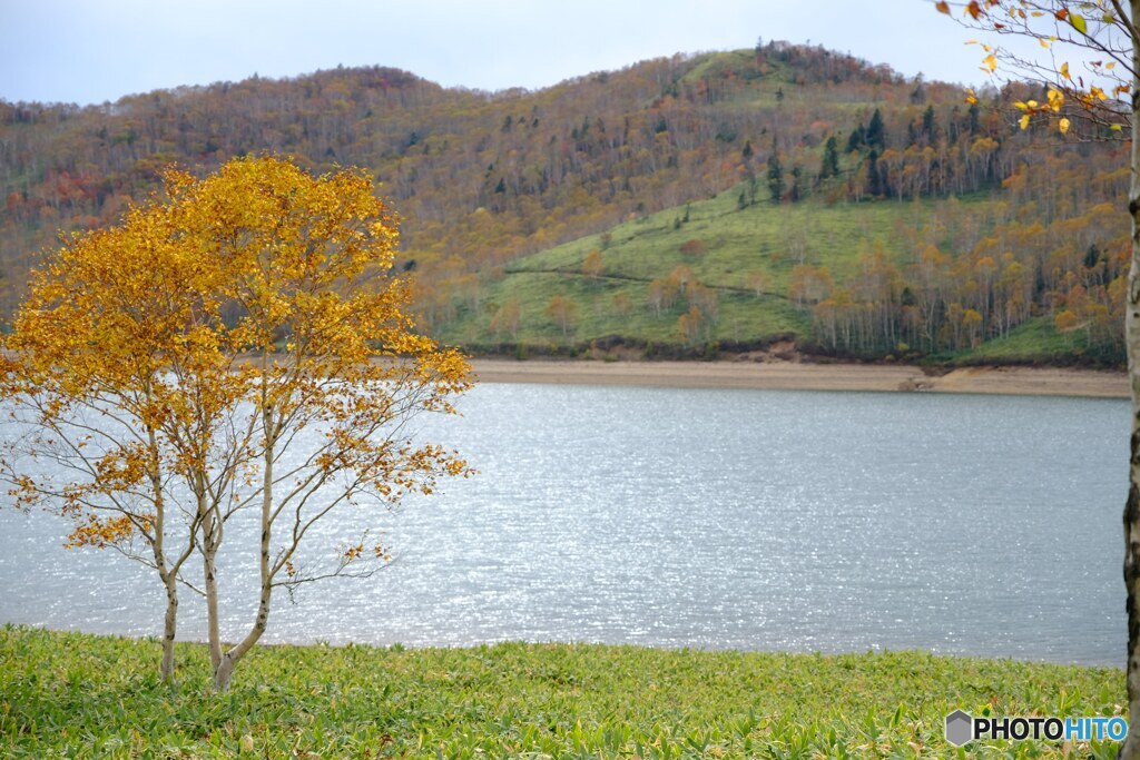 紅葉と湖