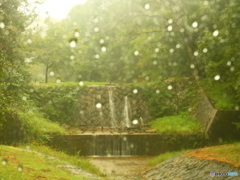 雨煙るいぶし銀