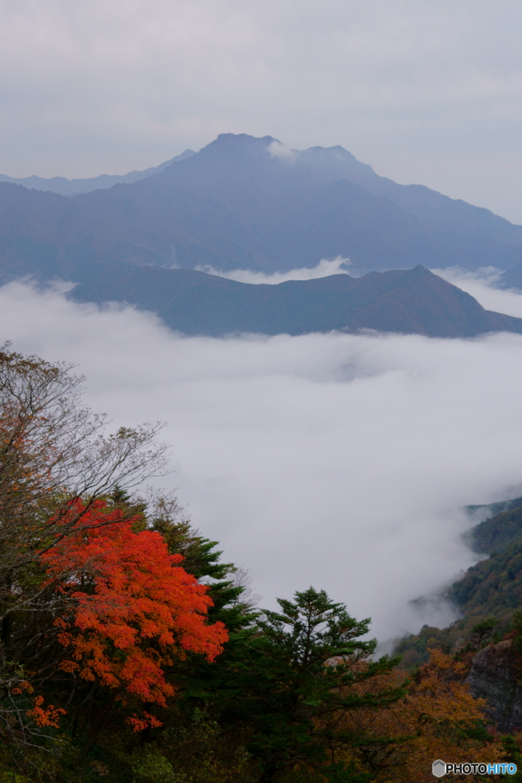 石鎚雲海紅葉添え