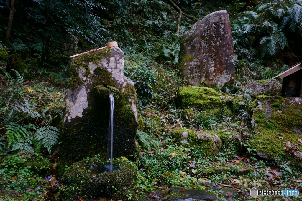 名水ひめ