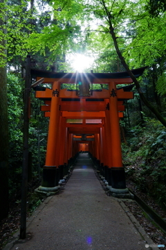 さわやか雨上がり