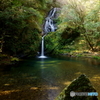 高知　大釜の滝２