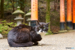 おはようさん、寝ぐせでっか？