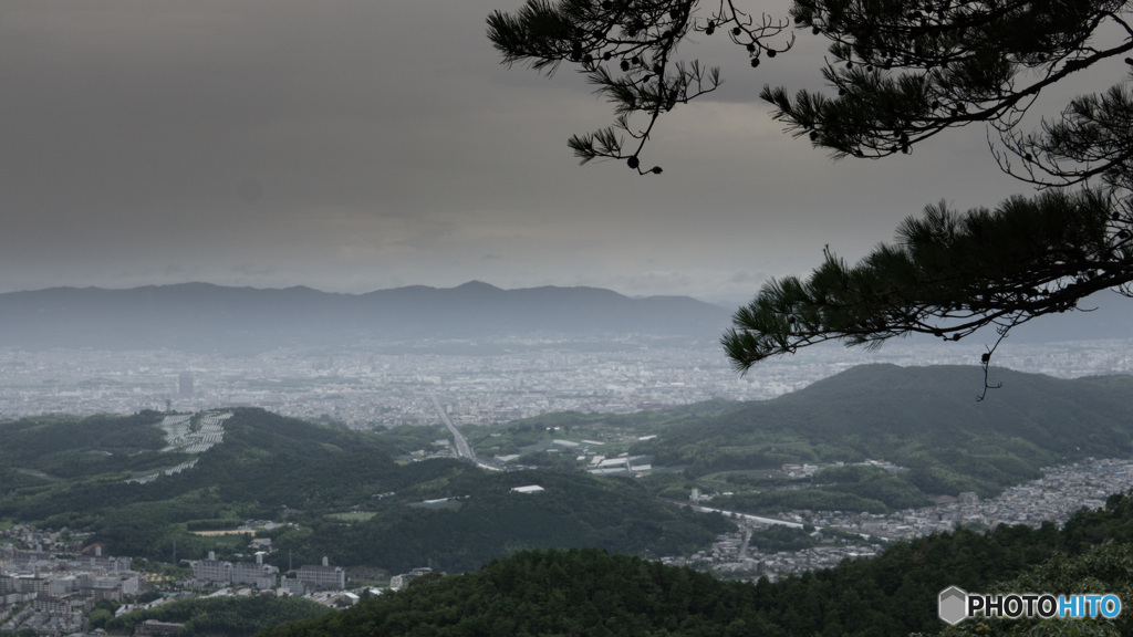 雨中洛南