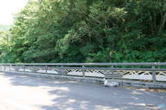 続・暑いよね1/3