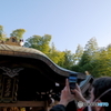 晴れ空にネコ