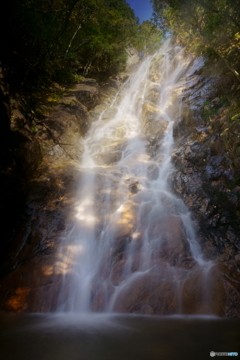 楊梅の滝～リベンジ