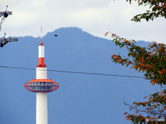 京都タワーと愛宕山