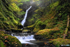 枯葉映え、野鹿の滝