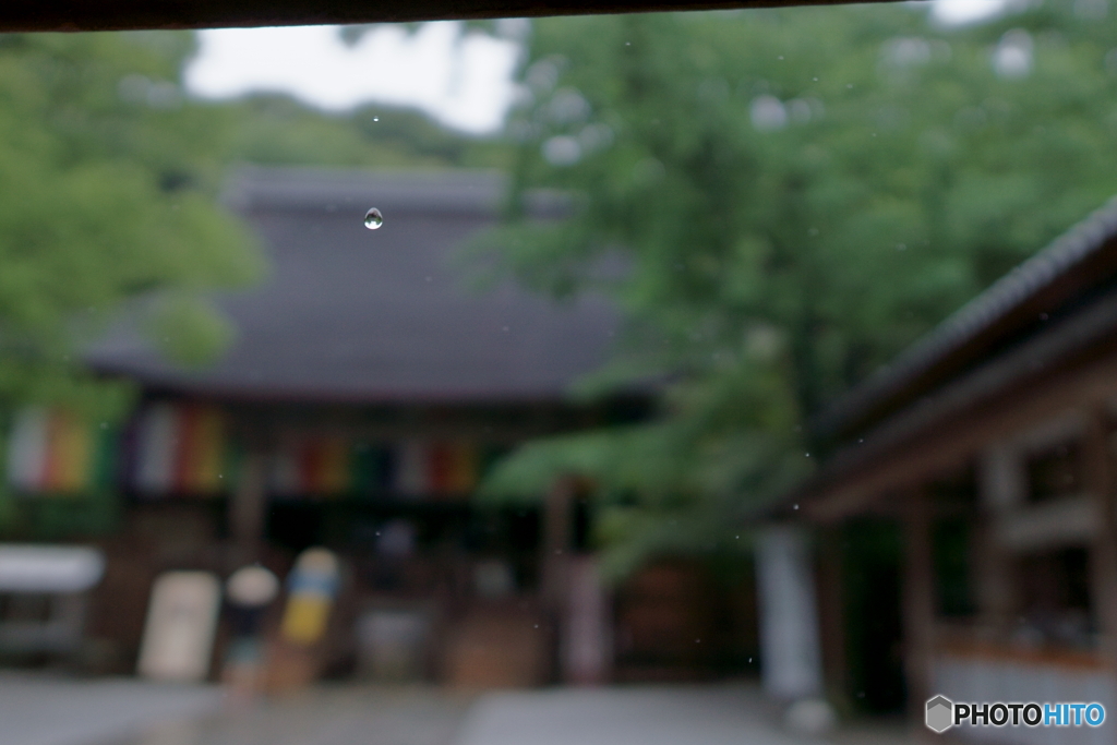 竹林寺雨宿り
