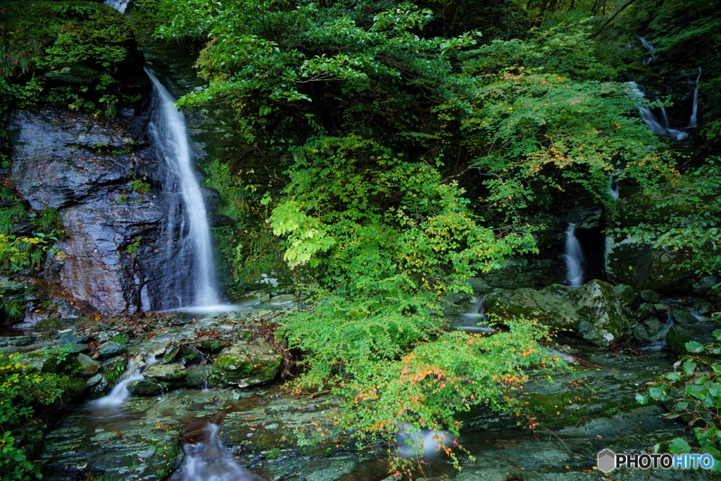 びっちょんこ登山のあとに