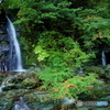 びっちょんこ登山のあとに