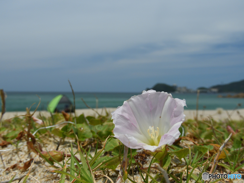 普通に6月