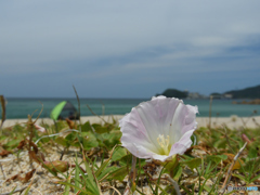 普通に6月