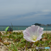 普通に6月