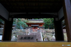 山科神社へ