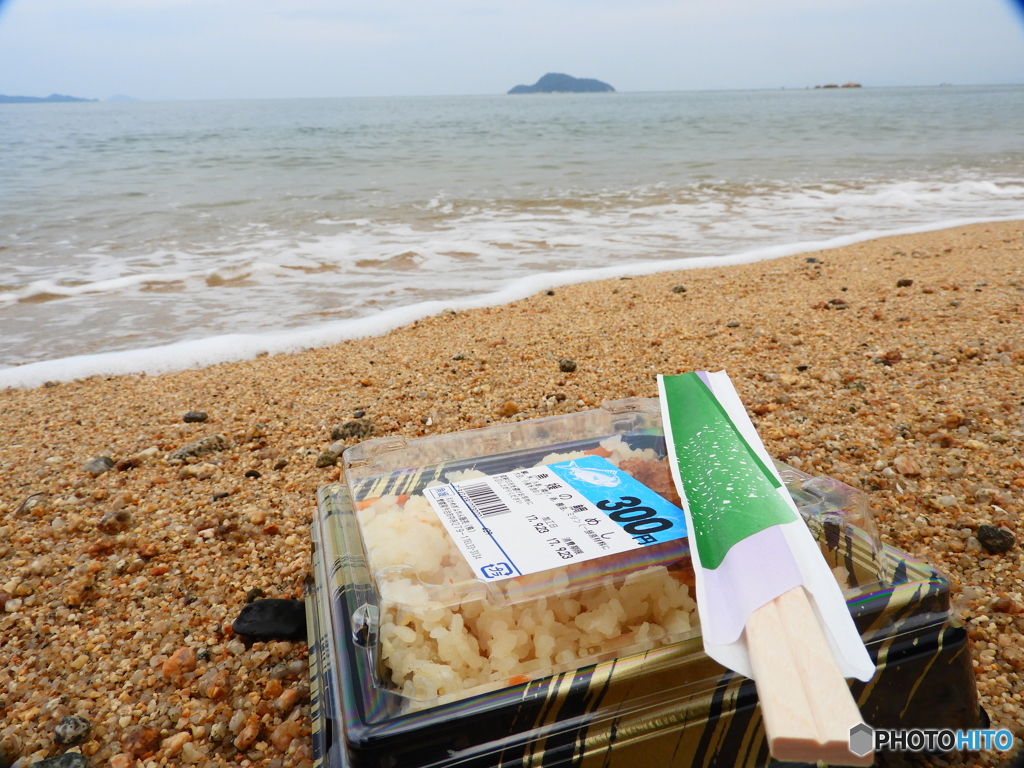 海からきたの？どーれ～