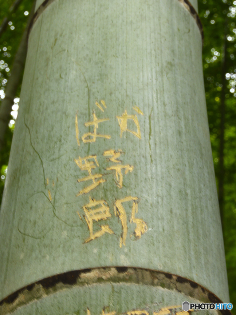 稲荷散歩～ばか野郎