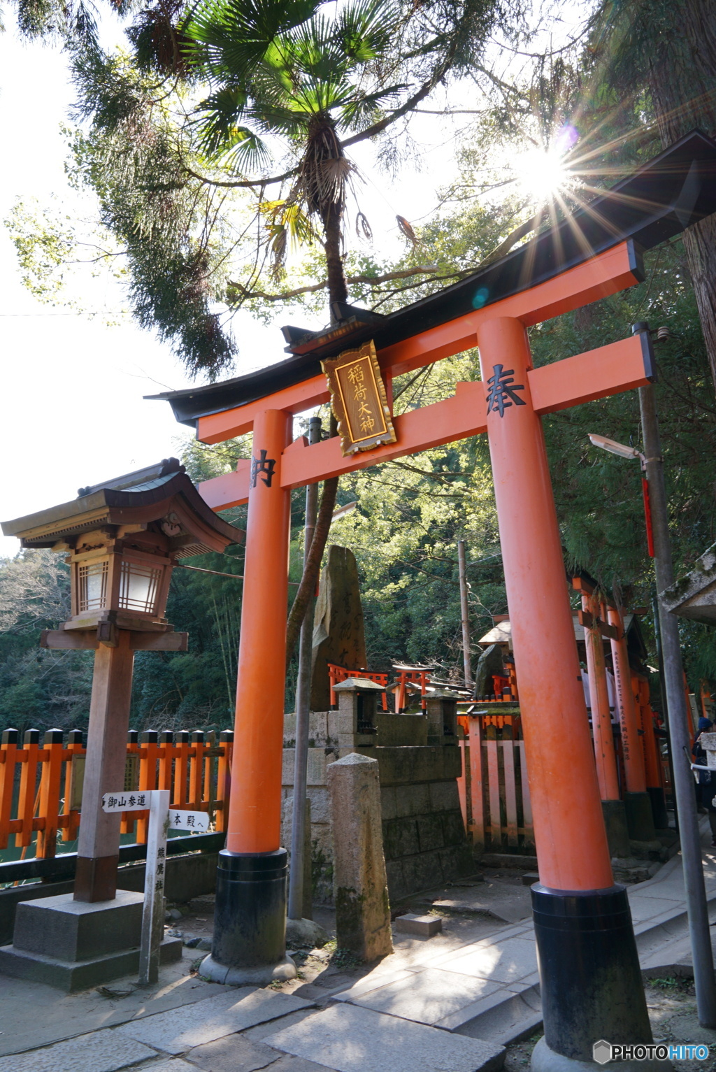 光条鳥居