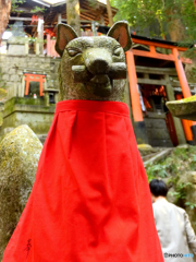 稲荷散歩～前掛け長め