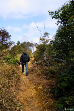 稲荷山ダンジョン　尾根道