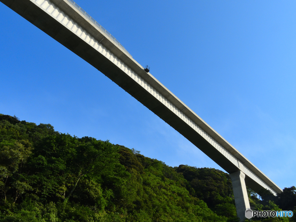 森の上の白い道