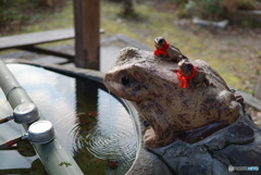 かえるのお手水の子がえる