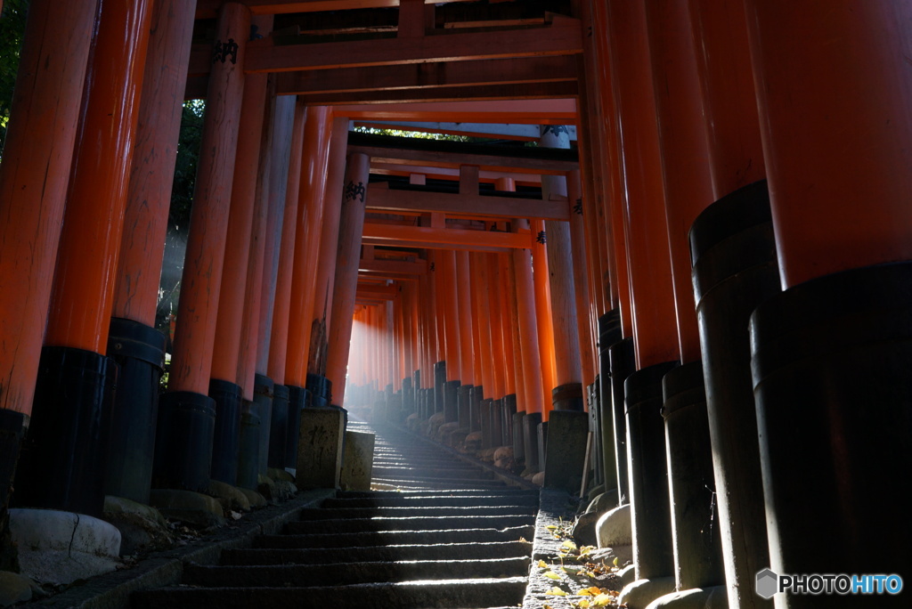 朝いなり散歩