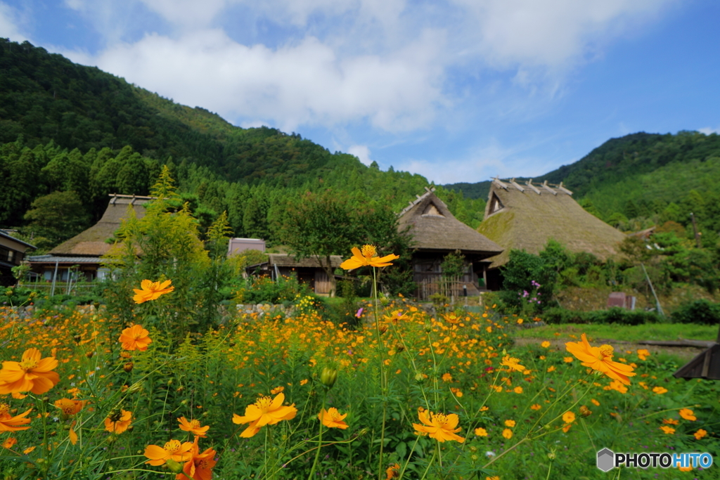 秋もお花に包まれて