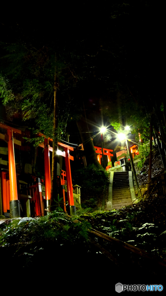 夜稲荷～階段が招きます