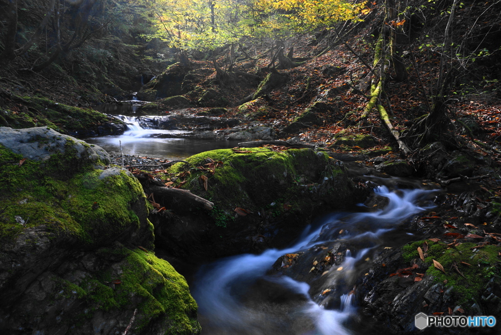 autumn's flow