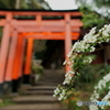 朱にユキ