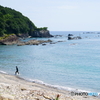 研究者のいる浜