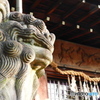 乃木神社　流し撮り初体験おしまい