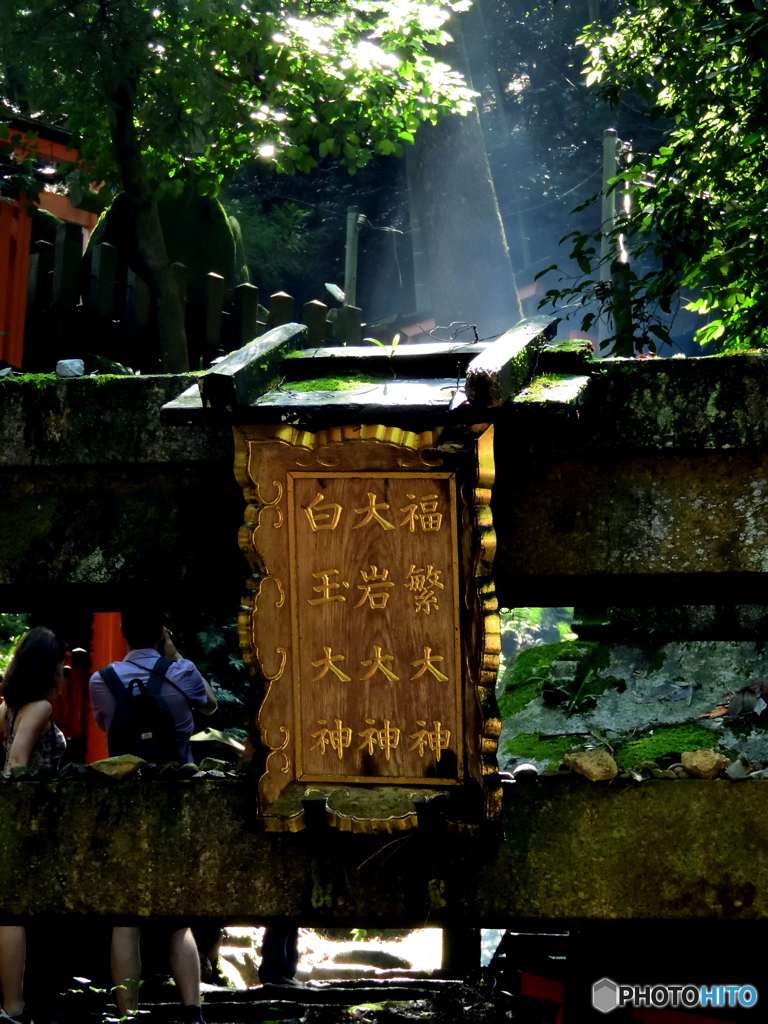 白大福