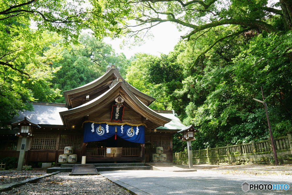 若宮八幡宮