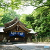 若宮八幡宮