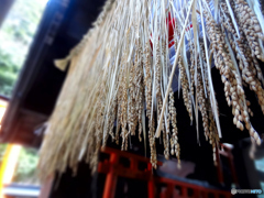 朝の特権