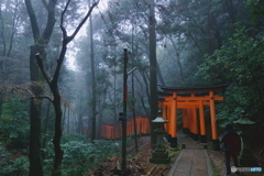 雨煙る