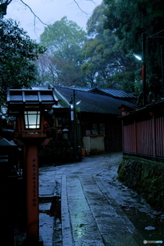 雨の朝いなり