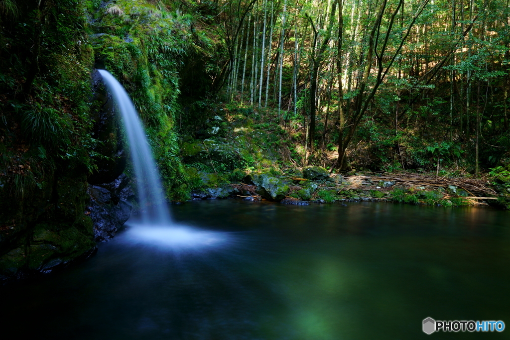 高知　大釜の滝