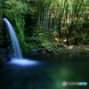 高知　大釜の滝