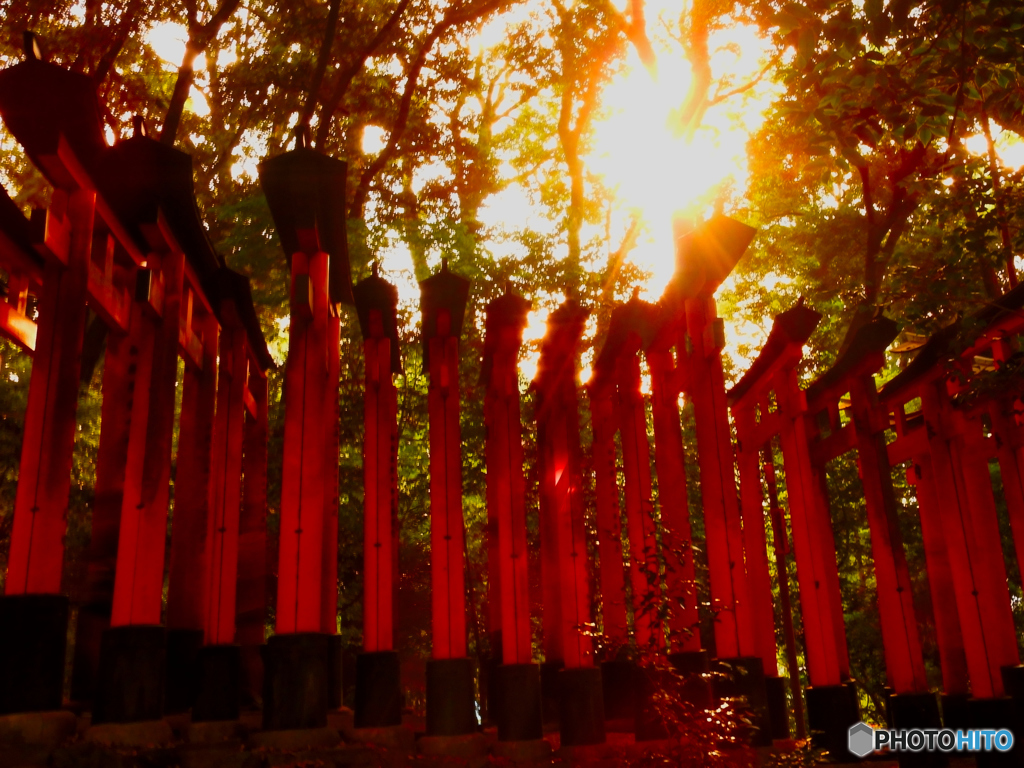 夕方の稲荷