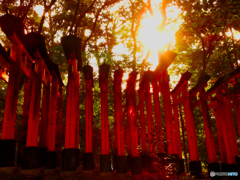 夕方の稲荷