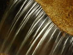 楊梅の滝de目移り