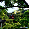 青紅葉と医聖堂～今熊野観音寺