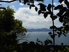 楊梅の滝 見返り琵琶湖