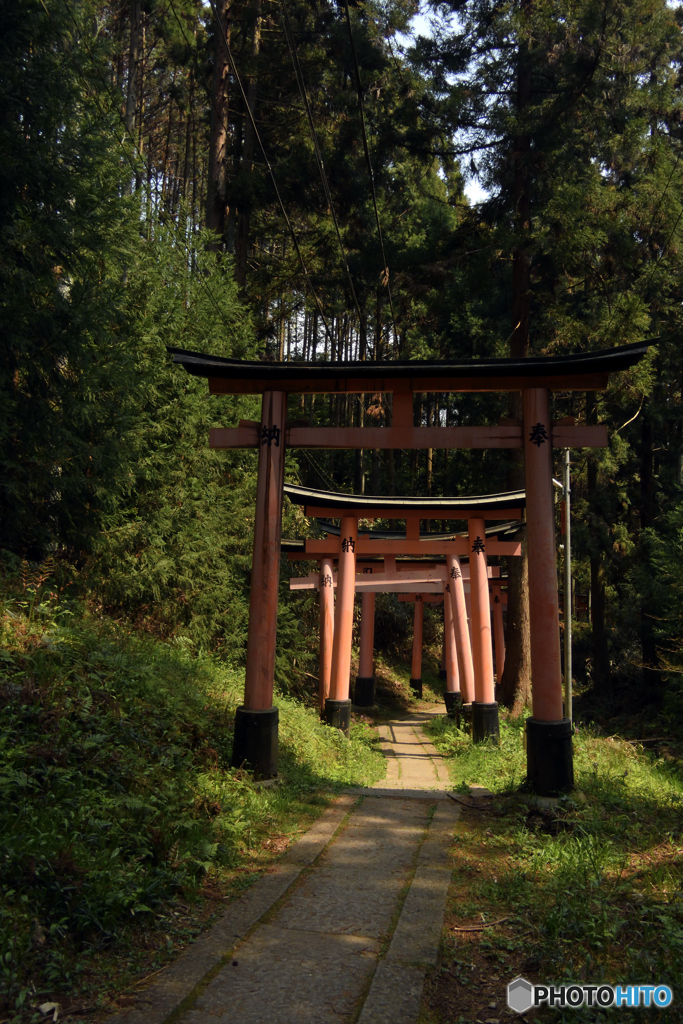 探検いなり～褪せた参道